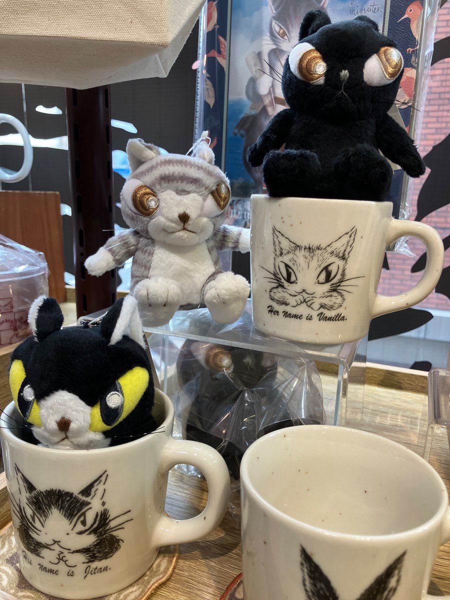iriaria22's tweet photo. ダヤンお誕生日おめでとう〜🐈🎉

推しが多いと誕生日や記念日が多くて、
関係ない自分まで幸せな気分になりますw
めでたい日はいっぱいあってもいいよね✨

ディスプレイはだいぶ前のお写真…💦
また会いに行きます〜

#わちふぃーるど https://t.co/KaNDNUGDPL
