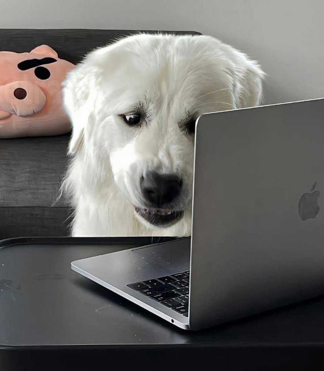 twaniimals's tweet photo. https://t.co/cfflx6jw3Z