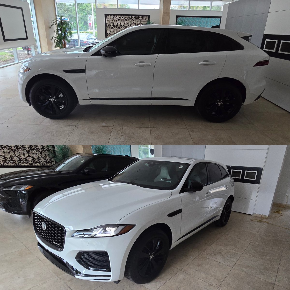 BAFilmSolutions's tweet photo. 2026 Jaguar F-Pace. Installed @llumarfilms ceramic CTX 30% on the front doors 

Need a quote?

💻https://t.co/kJfKjhbQs0
📱Call/Text 321.396.2182
📩info@bayareafilmsolutions.com
📆Appointment Only
🚘Servicing Clearwater &amp; Surrounding Areas
#tint #clearwater #florida #fyp #fypage https://t.co/f2nyFJ4xuj