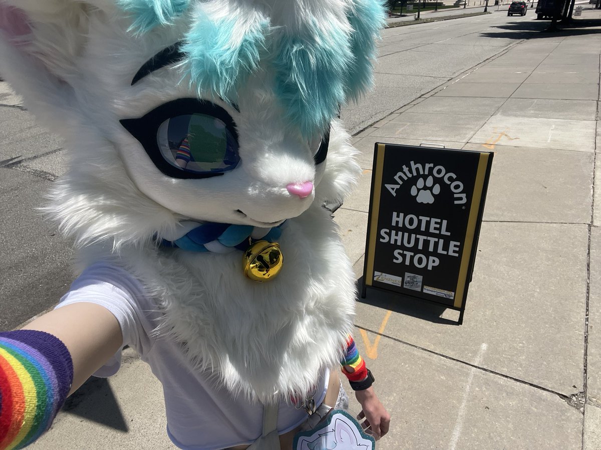 RealVincentCat's tweet photo. I had an amazing time at #anthrocon this year! It was so amazing to meet so many new people, and to finally get to see so many online friends there! https://t.co/ltMu4MKGGy