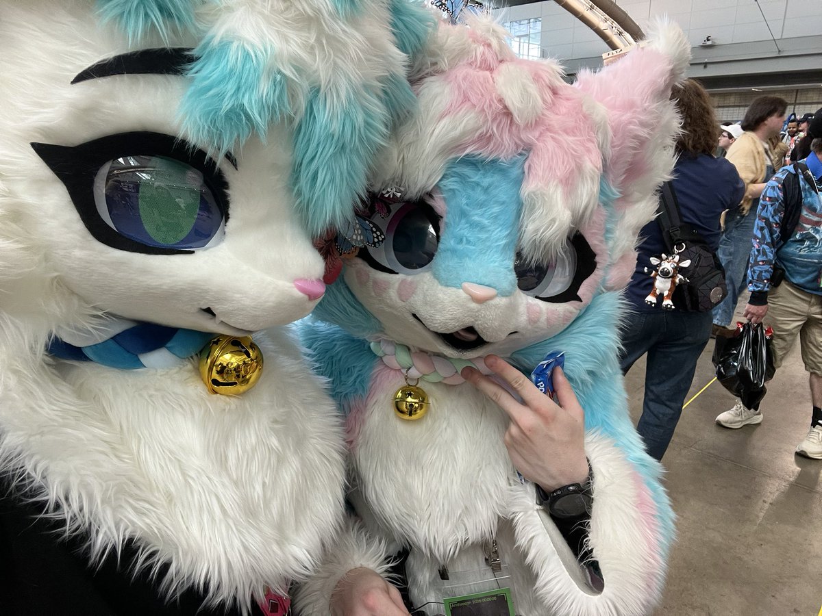 RealVincentCat's tweet photo. I had an amazing time at #anthrocon this year! It was so amazing to meet so many new people, and to finally get to see so many online friends there! https://t.co/ltMu4MKGGy