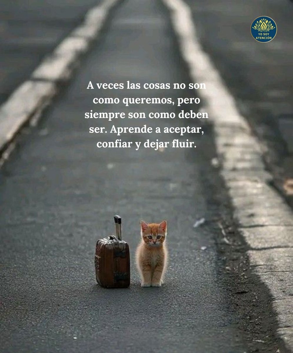 AtencionYoSoy's tweet photo. 👉🏻❤️ https://t.co/S3wOu3Uqoc
