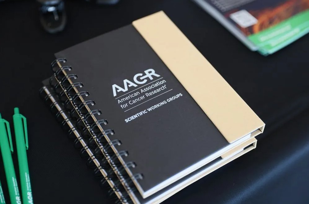 BCD_AACR's tweet photo. Did you know: members of the Hematologic Malignancies AACR Working Group can receive an additional discount on publishing fees.
➡️Learn more: https://t.co/aYTcjuiy3F https://t.co/vDAm80HT41
