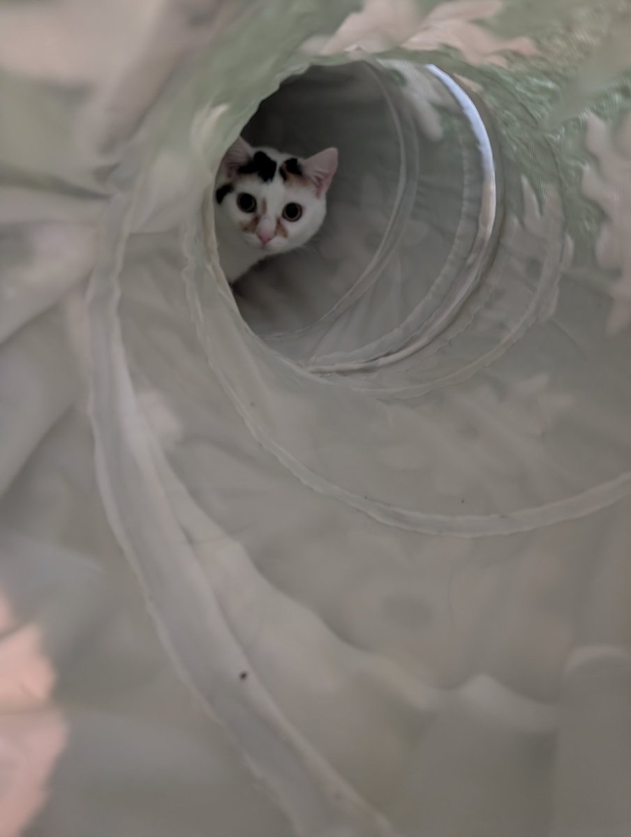 JaspernDumpling's tweet photo. POV: you're Simon Iron Lung https://t.co/3VqVt3pxon