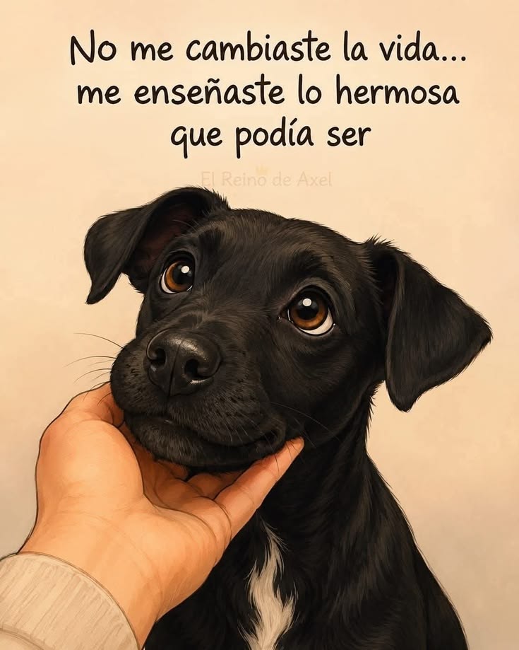rey_latino33087's tweet photo. https://t.co/AIXiQymVZa