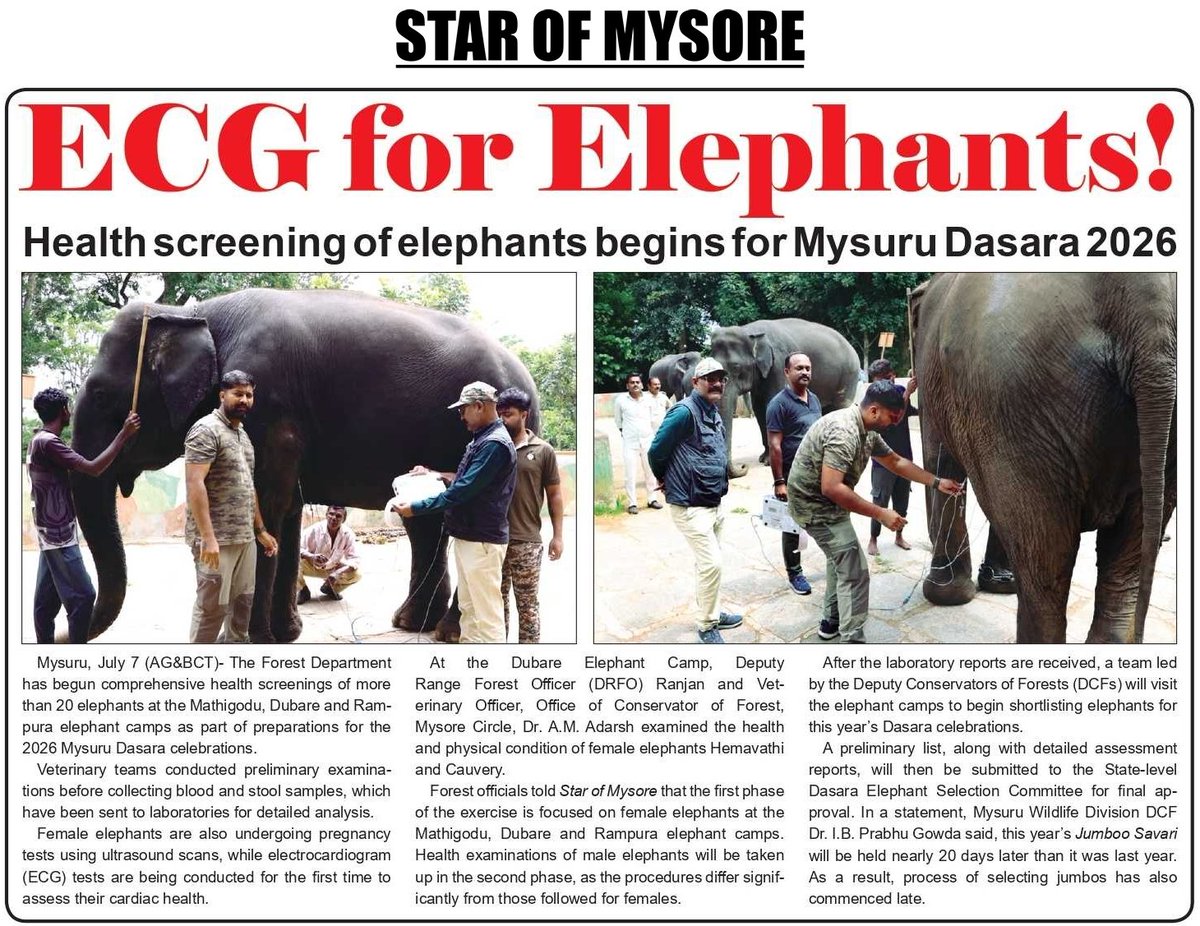 akshay_gowda_pv's tweet photo. Health screening of elephants begins for Mysuru Dasara 2026 
Star of Mysore https://t.co/gHniaGIEJD