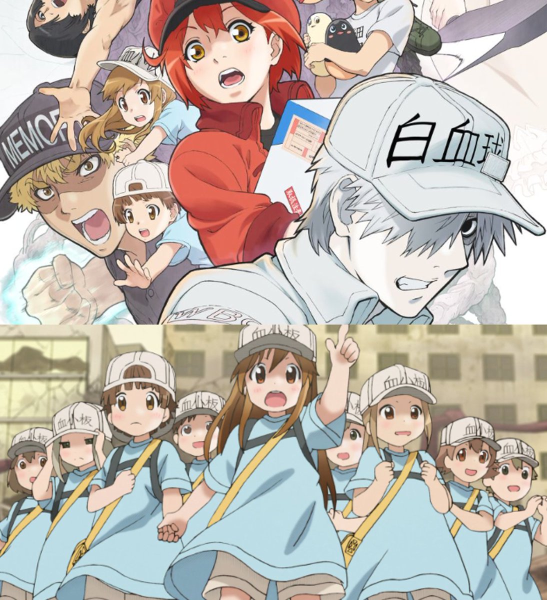AI_EmeraldApple's tweet photo. I'm sure fans of Anime and Manga have been tracking the recent drama with the Author of Cells at Work, Akane Shimizu, and others related to workplace abuse. 

In July, just a few days ago, a series of posts on X detailed allegations against Kodansha for their lack of professionalism when it came to her work. First, the company promised a medical professional editor to fact-check her work, which didn't happen. This led to various errors in terms of biological scientific accuracy of the work, and she faced a lot of harsh criticism. Then she had to make do with some reference books and textbooks she paid for out of their own pocket. 

The manga assistants that were also promised never materialized, which pushed her into pulling multiple all-nighters to meet deadlines, and when she complained, all she got was abuse from her editor.

These problems caused her to end the manga prematurely, and then she developed depression, PTSD, and suicidal ideation from the stress of working for Kodansha. 

Kodansha responded with a typical corporate damage control message without any action or compensation... just an apology as if it does any good after the fact.

Then Izuko Fujiya, the author of Slime Slayer from Zero to Black Steel King, explained why the manga series Sayonara no Parade was left without a conclusion. Creative disputes between her and the company made it impossible to finish, along with the physical and mental stress of trying to work on it. 

Meiji Merou, the author of Magical Girls and Narco Wars, also revealed they experienced verbal abuse from their editor, where she was often compared to authors like Shimizu... saying that she was inferior and if you keep doing this you'll end up a loser. 

Then manga artist Q-ta Minami also chimed in, talking about how common it is for manga artists to be treated horribly in the industry... often resigning themselves to thinking it's just the way it is. 

Then another one, Kayatamaru, the mangaka behind The Girl, the Shovel, and the Evil Eye, came out to allege that they have not received royalties from the overseas sales of their book for over a year. The stress from the workload caused her to lose weight to a dangerous level, and she had to go on hiatus. 

Of course, when we look at the overall history of workplace abuse in the manga-anime industry in Japan, this is not an isolated problem. It's not even just a problem of this particular industry, but a problem of the overall Japanese workplace culture as a whole.

Workplace abuse is common. Overwork and related health problems and death are part and parcel of the "Japanese work ethic"... but if they are to maintain a stable society, this is not sustainable. 

The 2019 Work Style Reform Act helped to some degree, but the abuse continues as enforcement lags, as yearly work hours decreased on paper but unpaid overtime increased, along with even worse mental health issues.