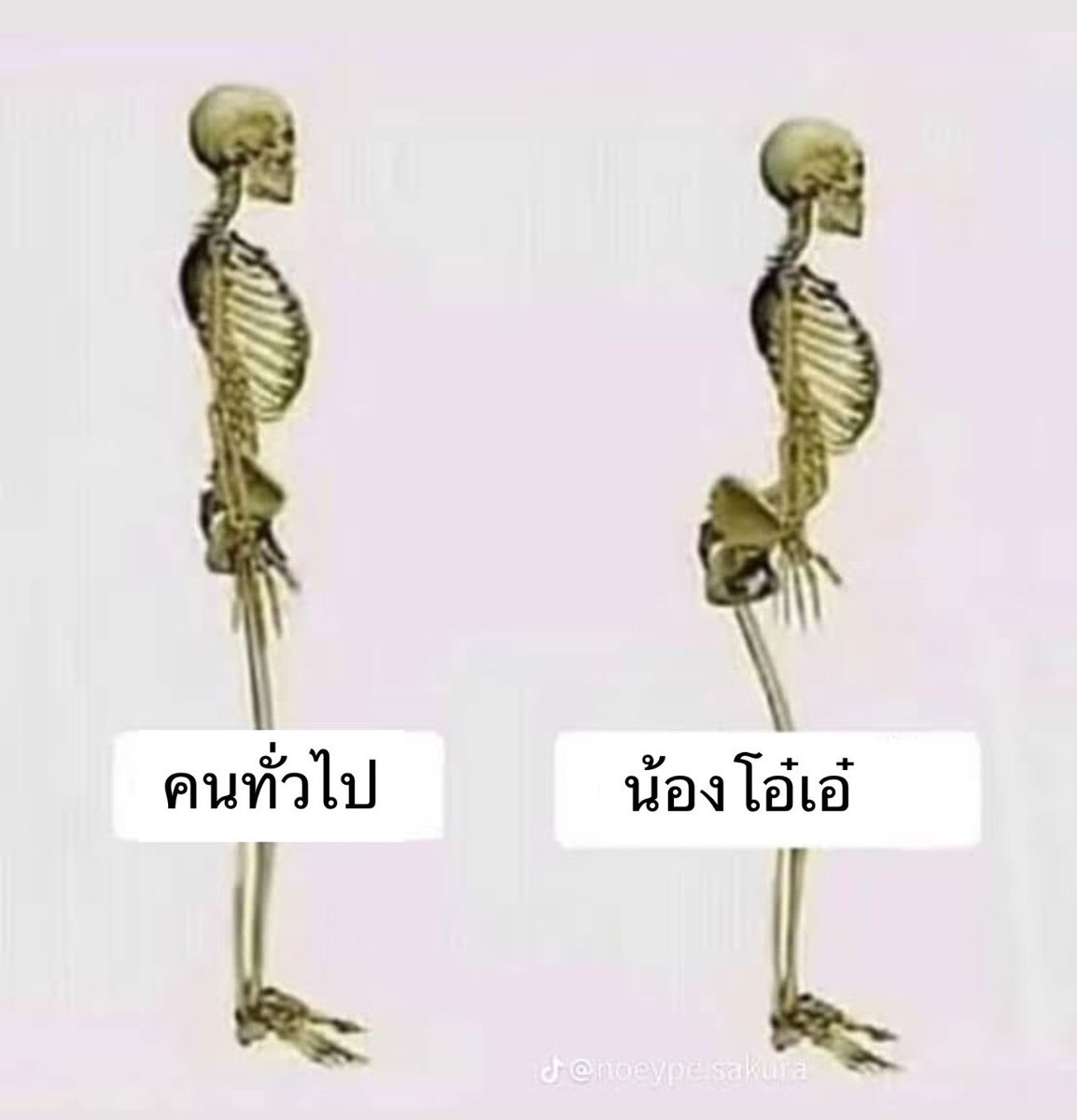 bibi_kd19's tweet photo. มันอดไม่ได้จริงๆ ยายขอโทษ555555555555

#OhAe #โอ๋เอ๋ https://t.co/sjb9OKZSsE