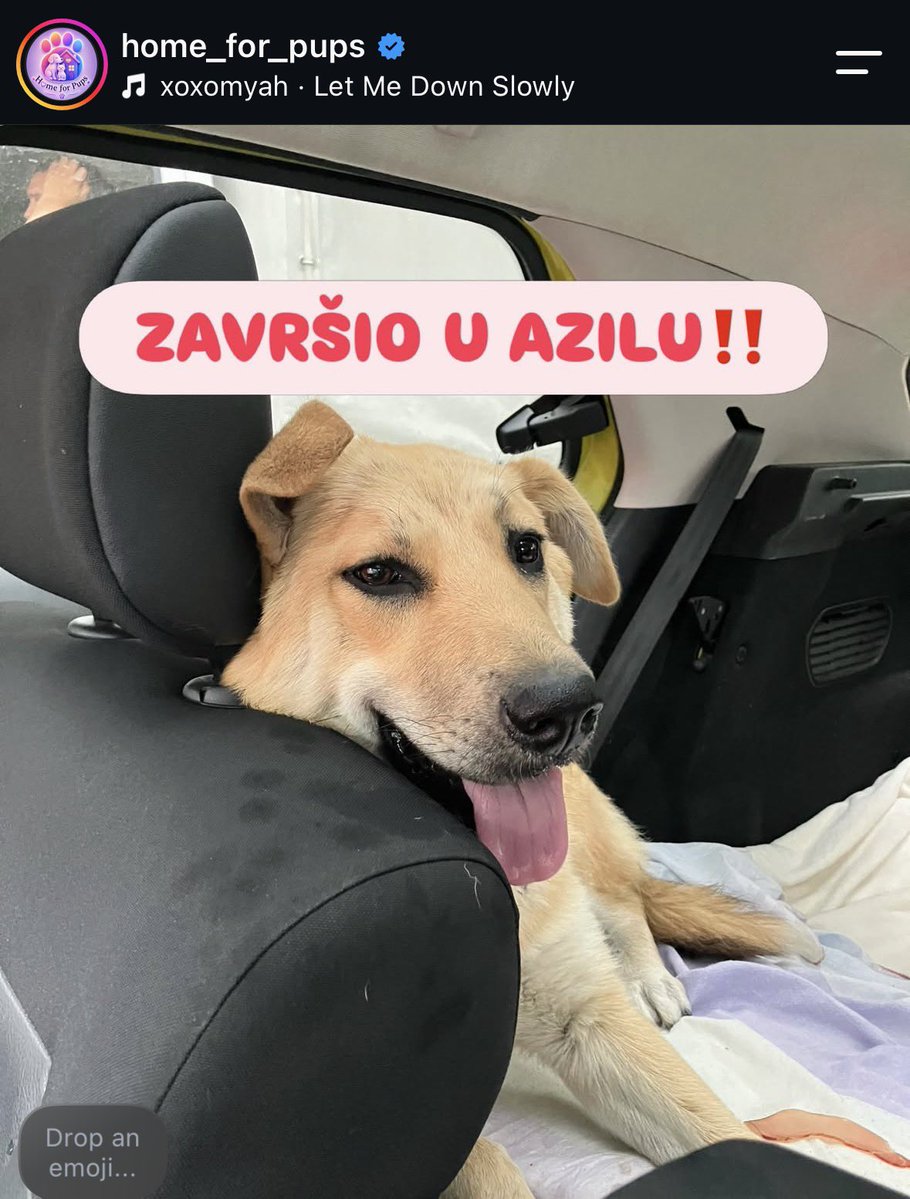 izvesnavesna's tweet photo. Rt 🙏🏻🙏🏻🙏🏻 https://t.co/lbZMTy3Emc