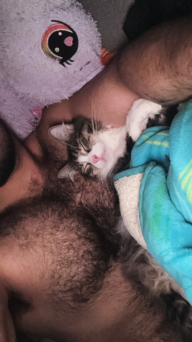 abogatooo's tweet photo. Entonces despierto por la madrugada y descubro que Raúl Antonio decidió dormir con abrazo 🥹🥺 https://t.co/Nmsf4dTGAr