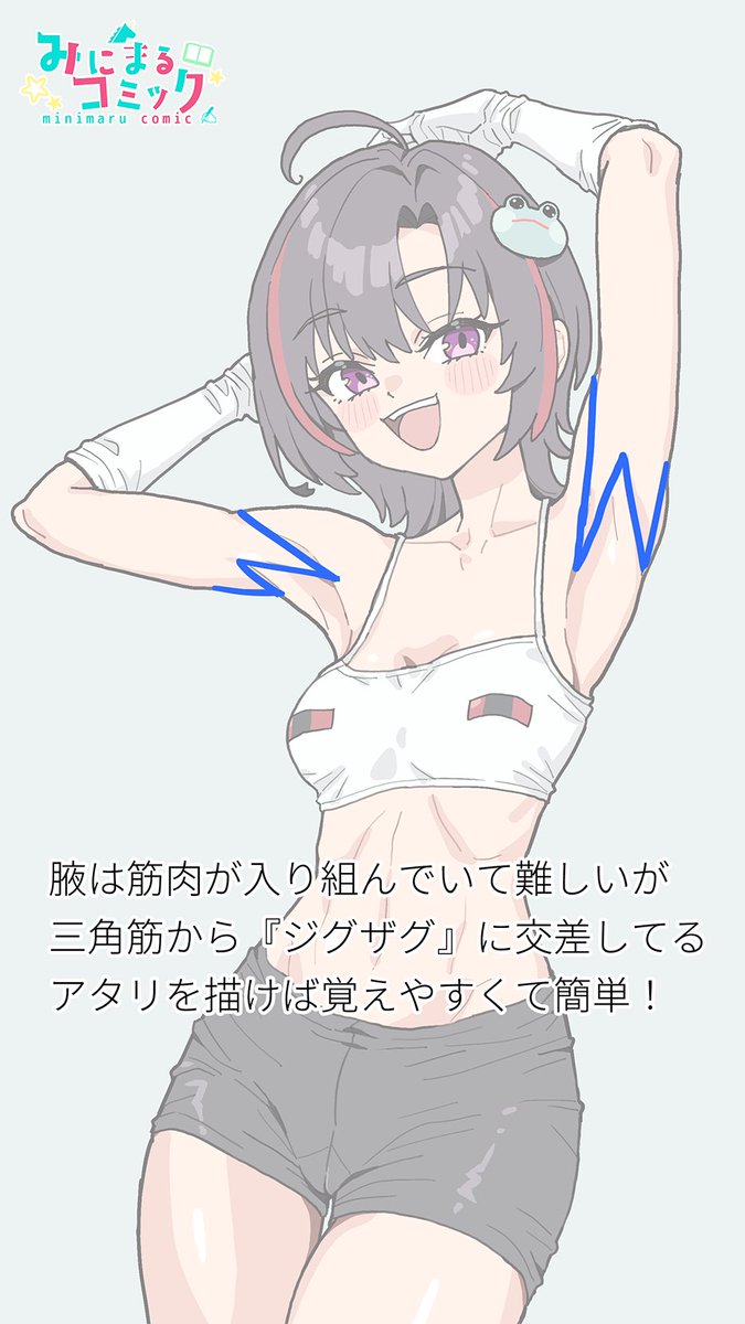 minimaru's tweet photo. 腋は筋肉が入り組んでいて難しいけど、『ジグザグ』に交差していると分かってしまえば、実は簡単です

筋肉もこれで覚えられる
ブックマークして https://t.co/u65QbZ0MUw