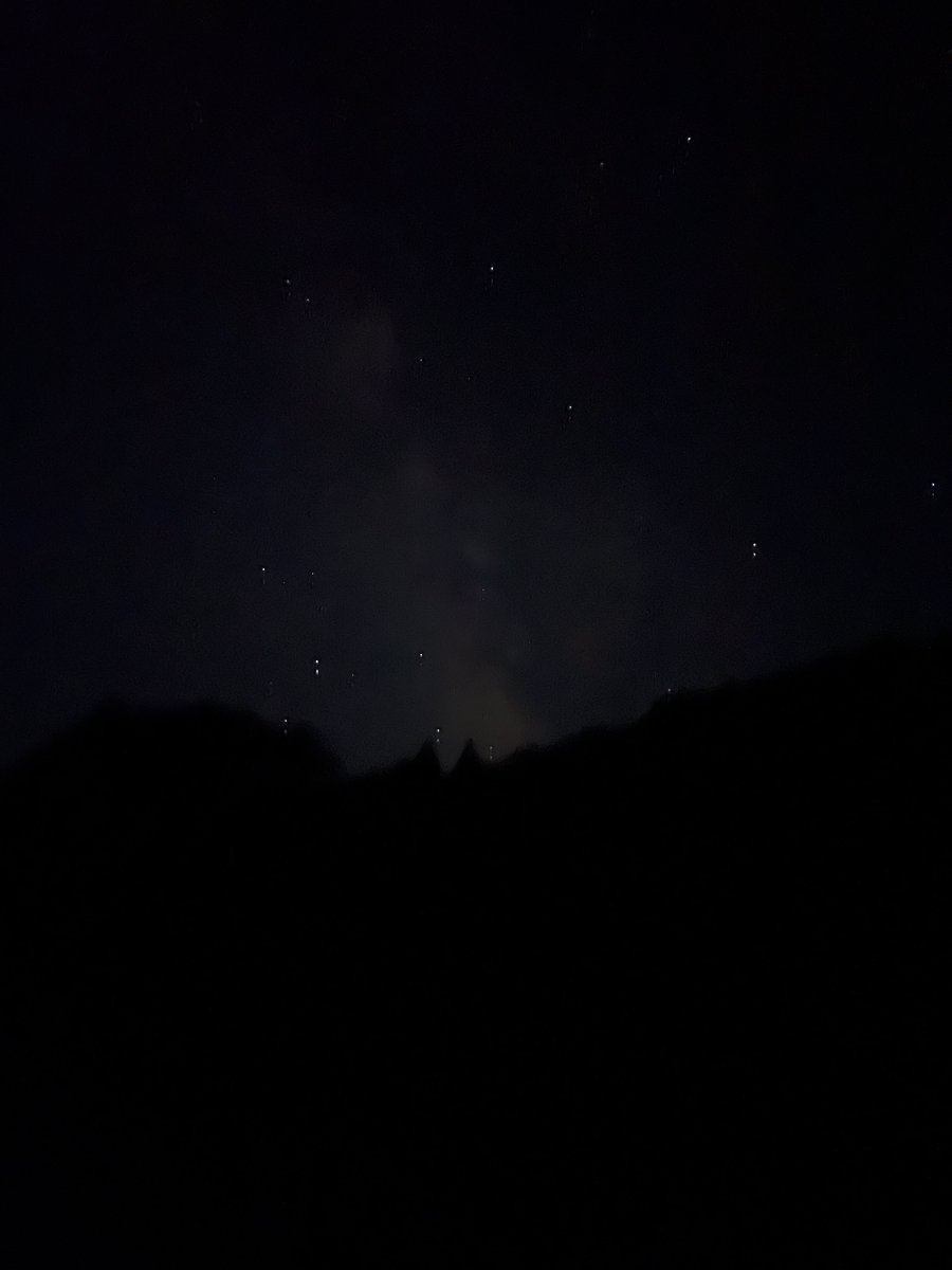ichijou0322PG's tweet photo. 本日のスコアは95匹、ギリ100匹届かず……

七夕に天の川を見ながらオオクワガタ採れました🥰

今日のコンディションで今峰ライト２灯のパワーがありながら100匹採れなかったのは、まだまだ腕が足りない。
精進あるのみ。
 #今峰ライト https://t.co/D4VY8EXidI