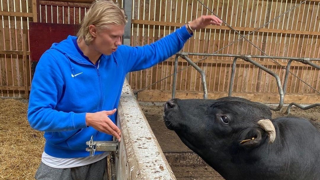 trad_west_'s tweet photo. Erling Haaland said in an interview that he wants to own a farm after retiring from football.  

"Being on a farm...driving a tractor, feeding my cows, that's my dream. That's what I want to do when I retire." https://t.co/RRaukq0EDj