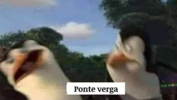 hjnnflx's tweet photo. Los skz viendo que nadie entendió ni madres del tráiler: https://t.co/8Shn5r9Cr8