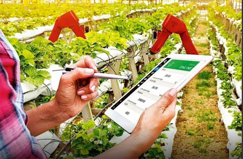 agridigitale1's tweet photo. La #FAO lance une application pour simplifier la vie aux agriculteurs https://t.co/idLrqjunYp https://t.co/s94bms1yj1