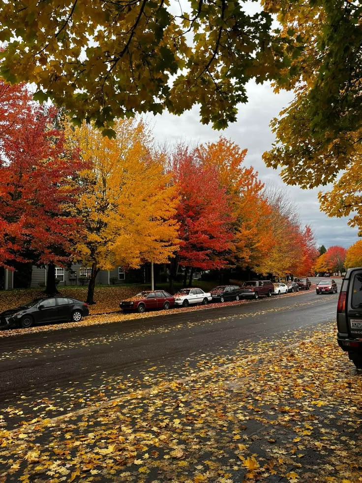 naturehealyou's tweet photo. shades of autumn. https://t.co/eJbG1rbE1h