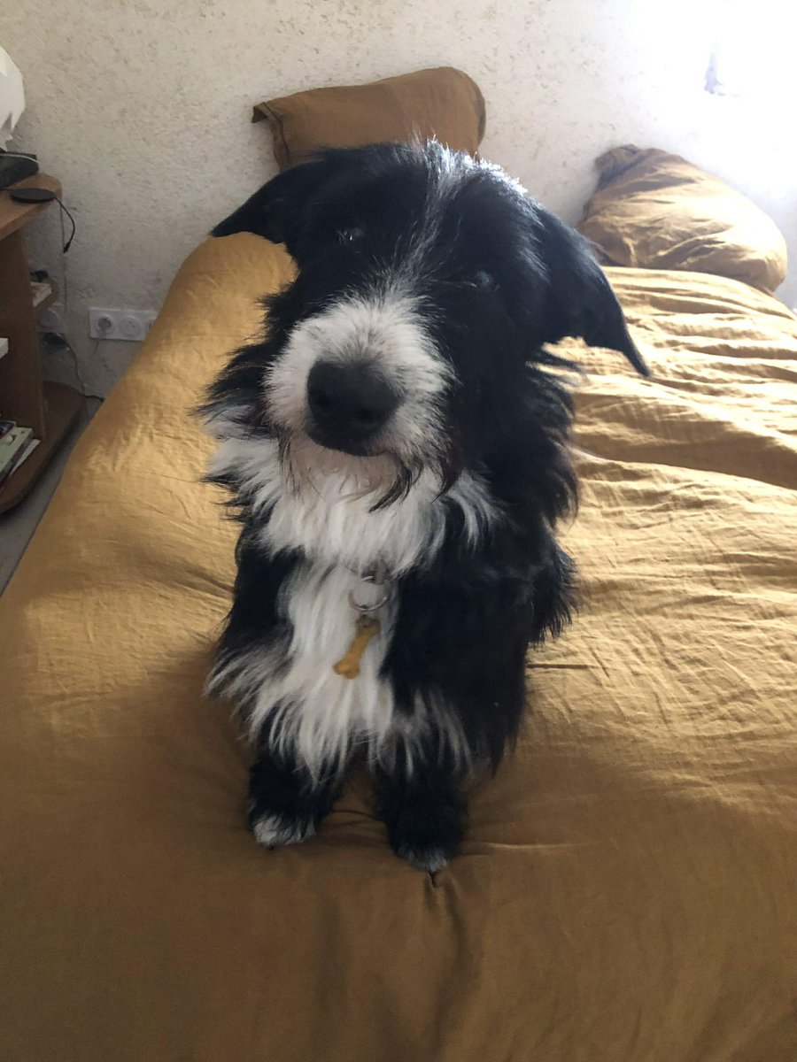SquatGhost's tweet photo. Toujours mon fils https://t.co/bm1lcPI0qr