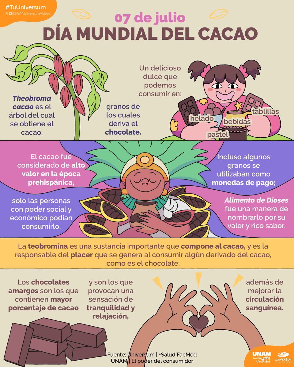 UNAM_MX's tweet photo. ¿Comer un chocolate 🍫 te lleva al cielo 😋? Su ingrediente principal, en la época prehispánica, era considerado un “alimento de los dioses”. #UnDíaComoHoy se celebra el Día Mundial del Cacao > https://t.co/vb1k4lCo3V
Infografía de @UniversumMuseo 👇. https://t.co/tBaX5357YO