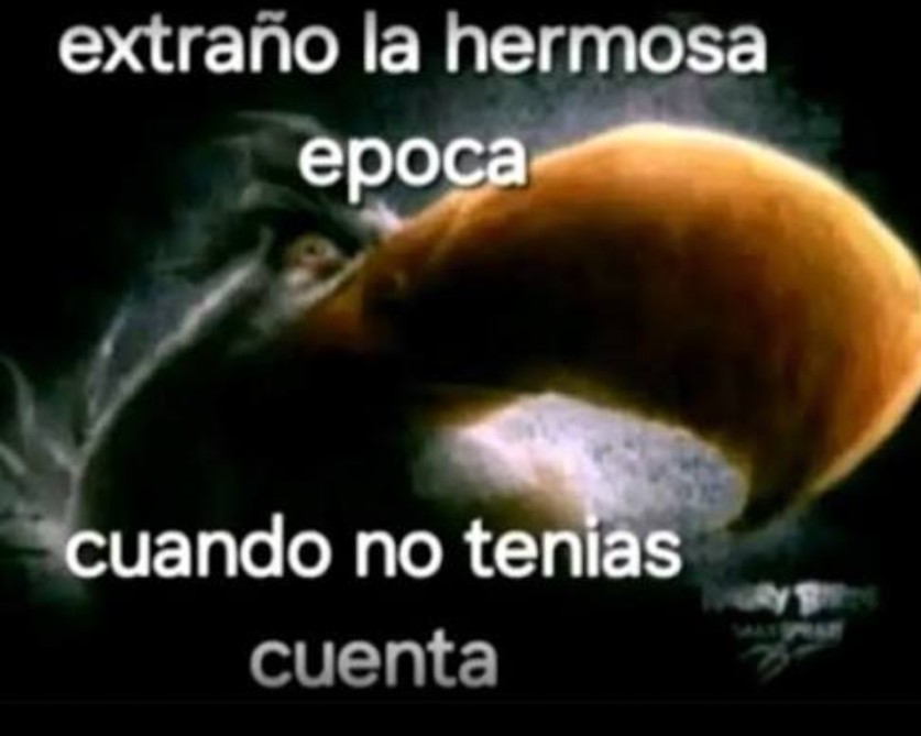 M0nstryx's tweet photo. @y2jMauro @giraltpablo https://t.co/QdoCN5xp8v