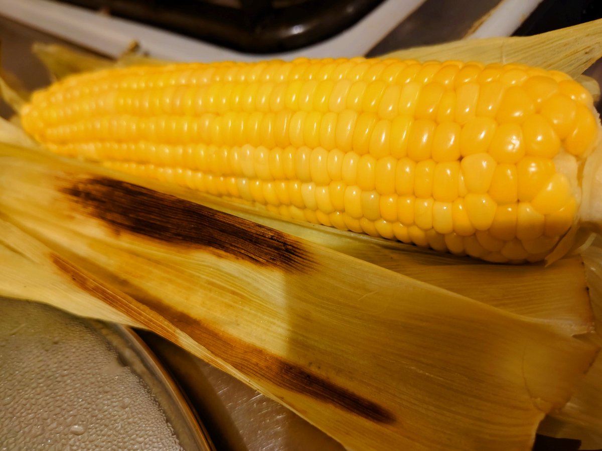 皮付きのとうもろこし焼いて食うの激うまでした