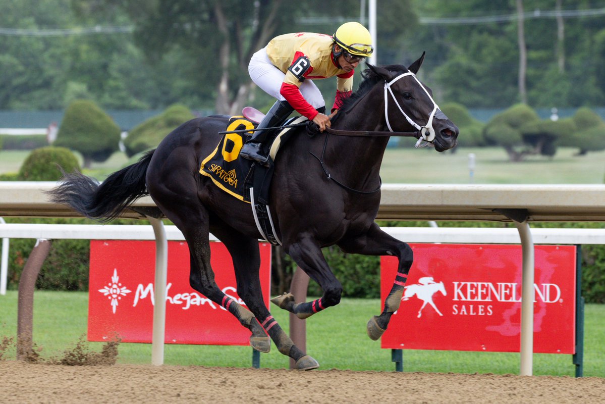 Equibase's tweet photo. A couple of impressive 2-year-olds showed tremendous talent over the weekend at @Saratoga1863! 🎪

🏇Harper's Corner, a 2yo Speaker's Corner filly, won the Schuylerville S. by 5 1/4 lengths on Friday for trainer Cathal Lynch and covered 6F on the dirt in 1:09.96 
▪️ESF - 95
▪️Winning Margin - 5 1/4 lengths
▪️Final Time (6F) - 1:09.96
▪️Cumulative # of Strides - 173.60
▪️Final Furlong - 12.68 seconds
▪️Avg. Speed - 38.82 MPH
▪️Avg. Strides per Second - 2.48
▪️Avg. Stride Length - 22.92 ft. 

🏇Booked, a 2yo Yaupon colt, won the G3 Sanford S. by 6 lengths on Saturday for trainer Steve Asmussen and covered 6F on the dirt in 1:11.24
▪️ESF - 85
▪️Winning Margin - 6 lengths
▪️Final Time (6F) - 1:11.24
▪️Cumulative # of Strides - 164.30
▪️Final Furlong -  13.28 seconds
▪️Avg. Speed - 38.26 MPH
▪️Avg. Strides per Second - 2.31
▪️Avg. Stride Length - 24.27 ft.

Schuylerville S. GPS Chart:
https://t.co/iiKkQqaKYb

G3 Sanford S. GPS Chart:
https://t.co/NSIBQXO7l2

📸Eclipse Sportswire