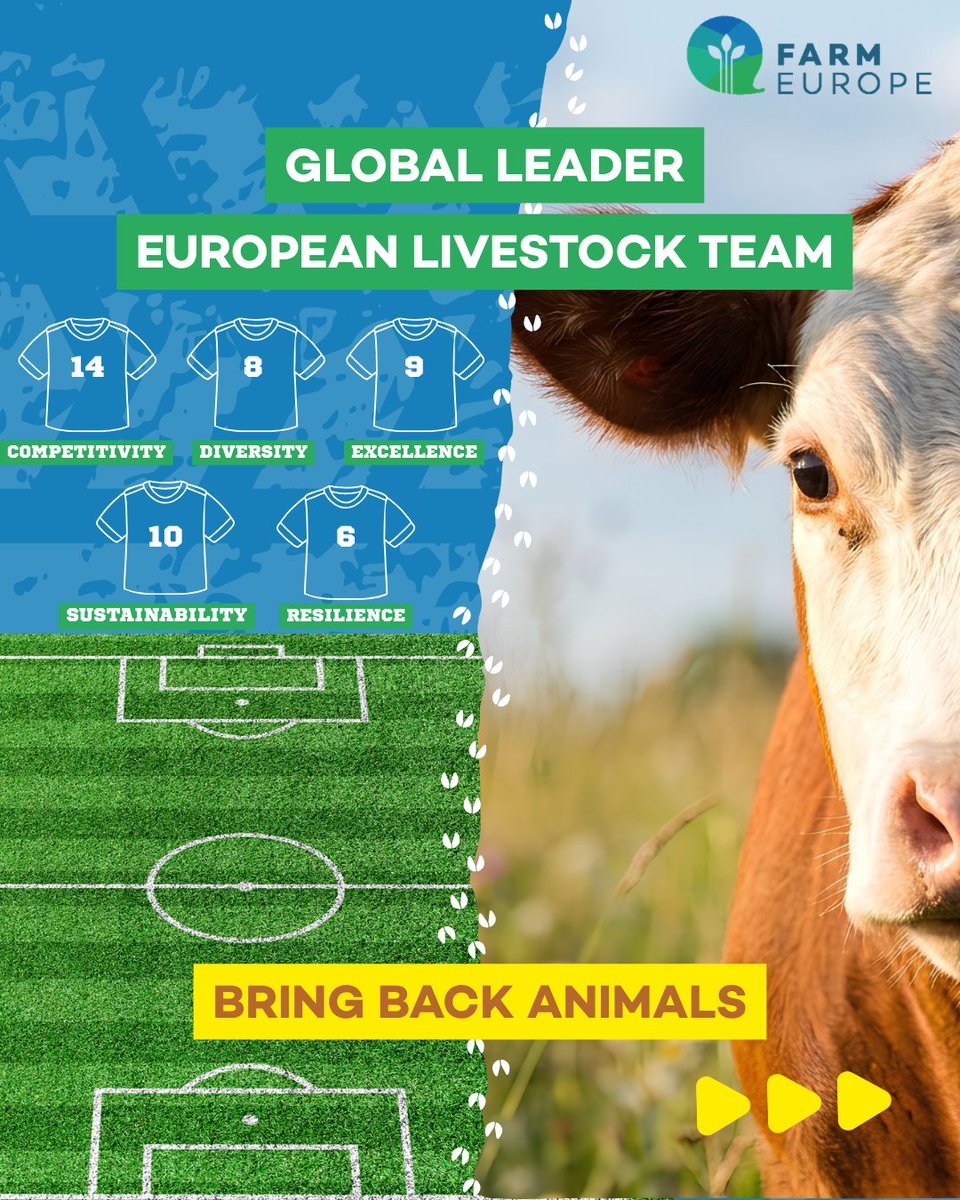 FarmEurope's tweet photo. 🐄🇪🇺 Bring Back animals in Europe! 

@FarmEurope welcomes the @EU_Commission's new EU Livestock Strategy, which marks an important shift towards recognising the strategic role of livestock for food sovereignty, sustainability, competitiveness and the bioeconomy.

This long-term vision lays the foundations for reversing decapitalisation, boosting investment and innovation, and strengthening livestock production across all regions of Europe.

Read our full statement here: https://t.co/zloHtOsSq7

#Livestock #Agriculture #EUAgri #FoodSecurity #Bioeconomy #Sustainability #CAP #FarmEurope