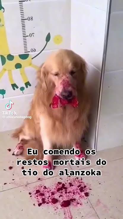 raulvitorl's tweet photo. @webcomunismo https://t.co/zaszDlJTBv
