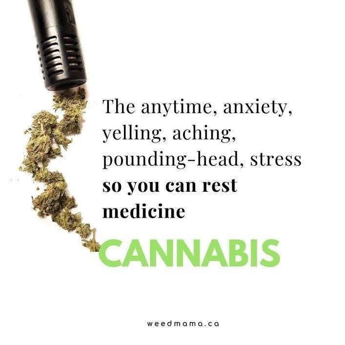 weedcoinOG's tweet photo. https://t.co/bWVsynliiQ
