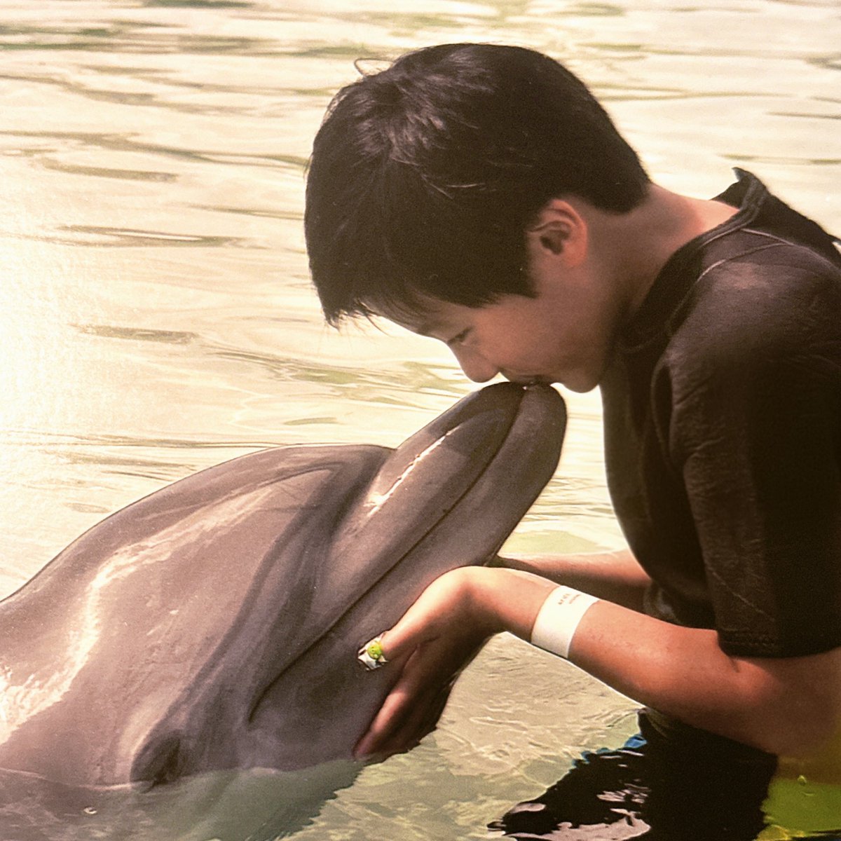 yourrubyx's tweet photo. ตอนเด็กเป็นโลมา โตมาเป็นฉลาม 🐬🦈 https://t.co/sOL46lPeUg