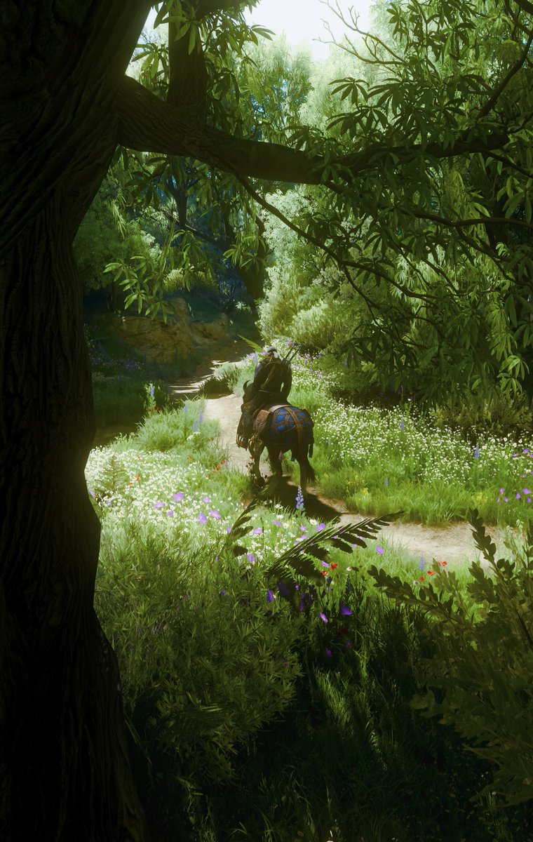 9b75's tweet photo. #TheWitcher3 https://t.co/90MarAKwR3