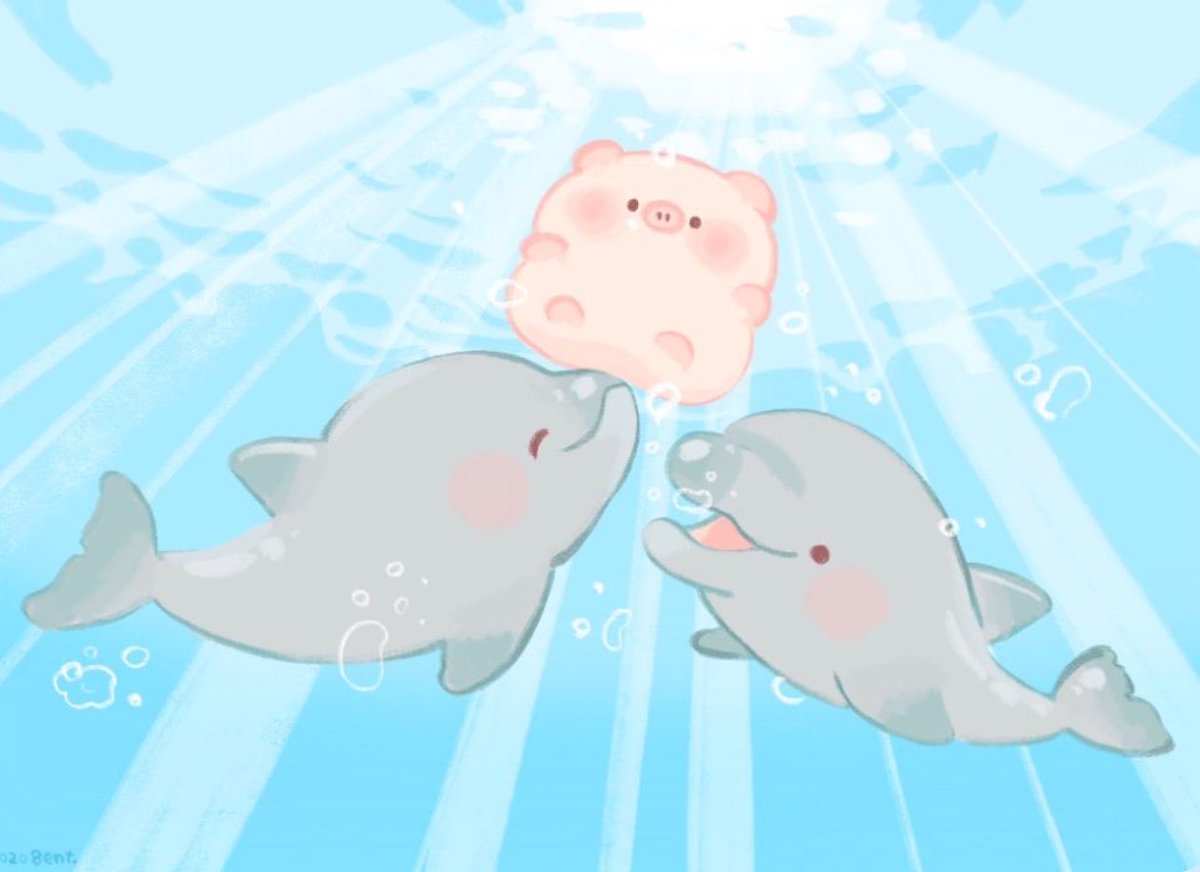 kmforanchan's tweet photo. อ้วน น่าลักจัง 💧 https://t.co/YUtnl89NPv
