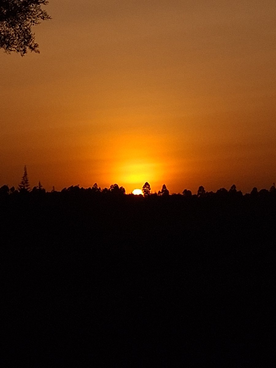 giddy_terer's tweet photo. Today's Sunset 🌇🔥 https://t.co/dui1dCwBaC
