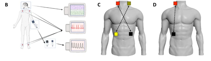 Bioelectronic Medicine - Journal tweet media