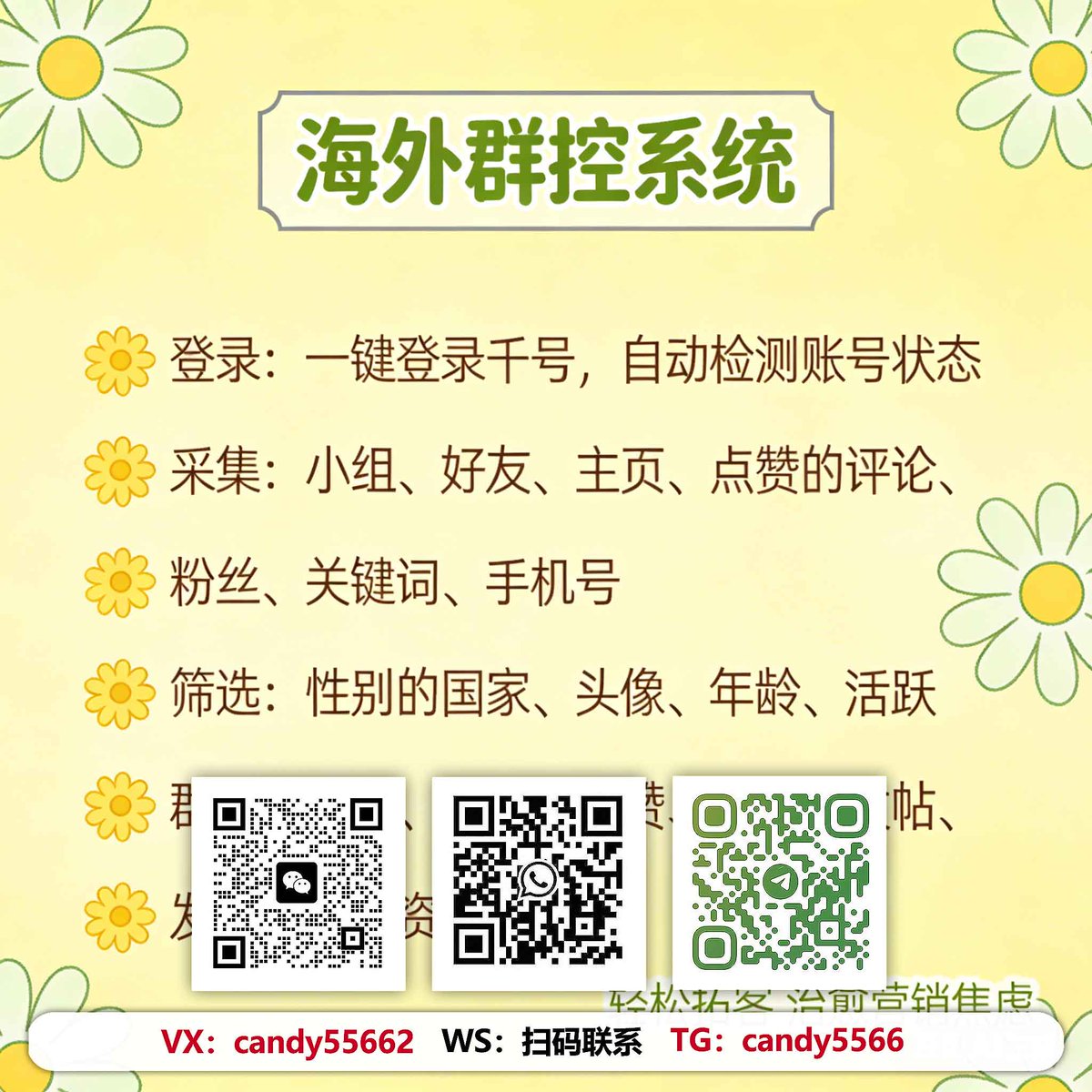 SusanTheuri2's tweet photo. 想起号先做矩阵，TK玩家都在看
海外社媒运营不会做、没效果？账号少曝光低，很难引来精准客户！千号矩阵多平台布局，全自动发帖私信，智能采集行业客源，轻松霸屏引流！
#海外版抖音 #tiktok项目 #矩阵 https://t.co/mPQS2c4VNh