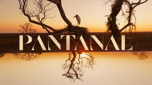 LuccasO2601's tweet photo. Estava aqui pensando... Pelo menos Benedito Ruy Barbosa pôde realizar seu maior sonho antes de partir: ver a Globo quitar uma dívida histórica ao produzir "Pantanal", 32 anos após rejeitar a versão original exibida pela extinta Rede Manchete. https://t.co/1LTuRsq1wf