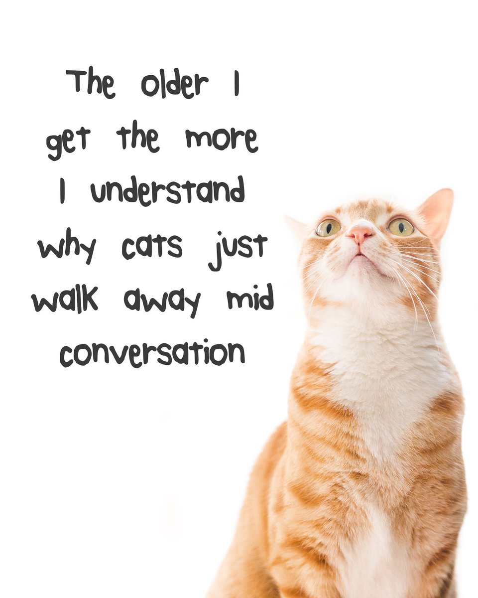 ColeTheBlackCat's tweet photo. Can you relate?? 🙄 https://t.co/VEK3KH6ukH