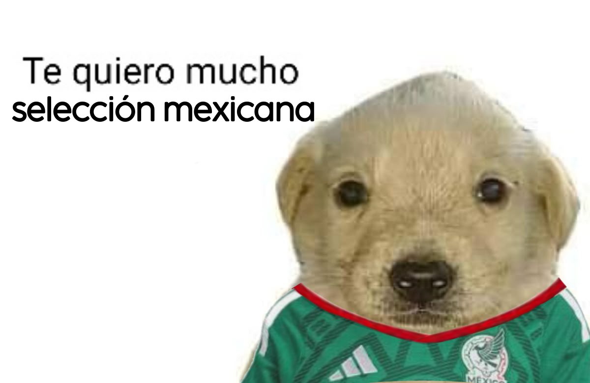 Al4nxcats's tweet photo. Gracias por tanto pinche selección 🫂 https://t.co/8TBuaKbeYq