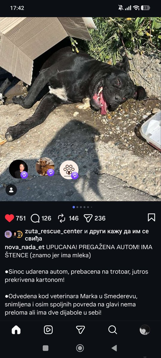 sanjazivi's tweet photo. Potrebna pomoc https://t.co/orvzDlBDKW