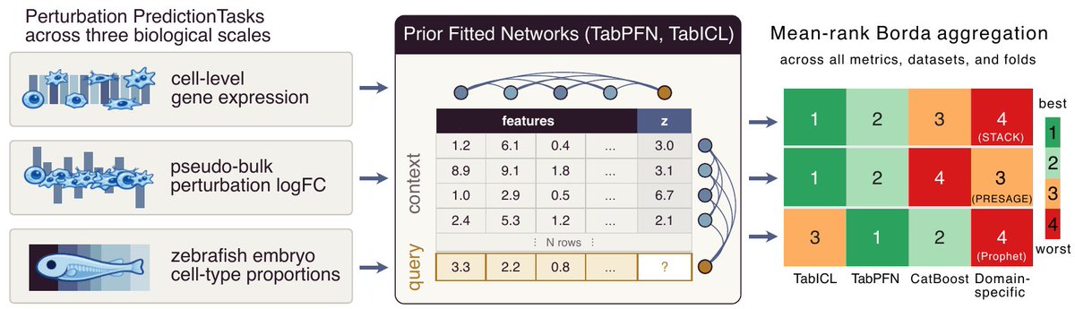 loicaroyer's tweet photo. 1/📢 New preprint! Do you actually need a biology-specific foundation model to predict how cells respond to perturbations? Surprising answer: a general-purpose tabular model - never trained on a single cell - matches or beats the specialists!

📄 https://t.co/nRvpH27djc

@biohub https://t.co/95TERBZn8j