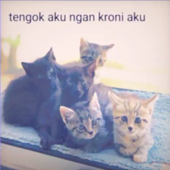 sourskittlesz's tweet photo. https://t.co/j4c45TQBVV