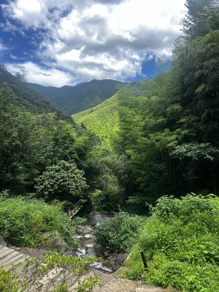Neoshengyu's tweet photo. This is the landscape of China; the delicate, graceful peaks are truly captivating. https://t.co/v4KrnZw4GG