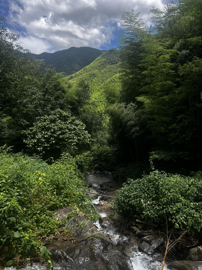 Neoshengyu's tweet photo. This is the landscape of China; the delicate, graceful peaks are truly captivating. https://t.co/v4KrnZw4GG