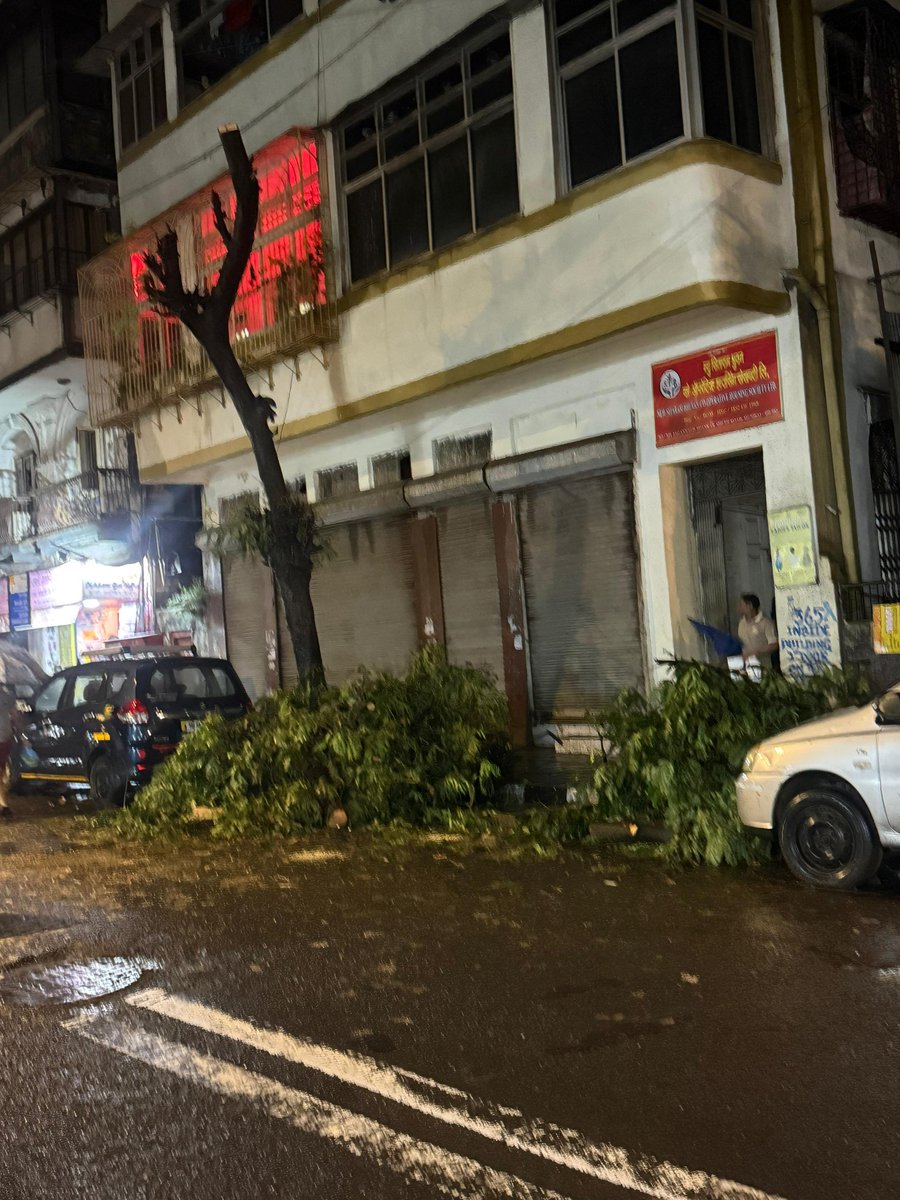 Abhischavan's tweet photo. 🚨 तक्रार | @mybmcWardC
📍 St Francis Xavier Ln, Marine Lines East, Dabul, Chira Bazaar, Kalbadevi, Mumbai – 400002
सदर ठिकाणी वृक्षांची छाटणी करण्यात आली आहे. मात्र छाटणीनंतर झाडांच्या फांद्या रस्त्यावरच पडून असल्यामुळे अस्वच्छता निर्माण झाली असून वाहतुकीलाही अडथळा होत आहे. https://t.co/CZb2tUFjMm
