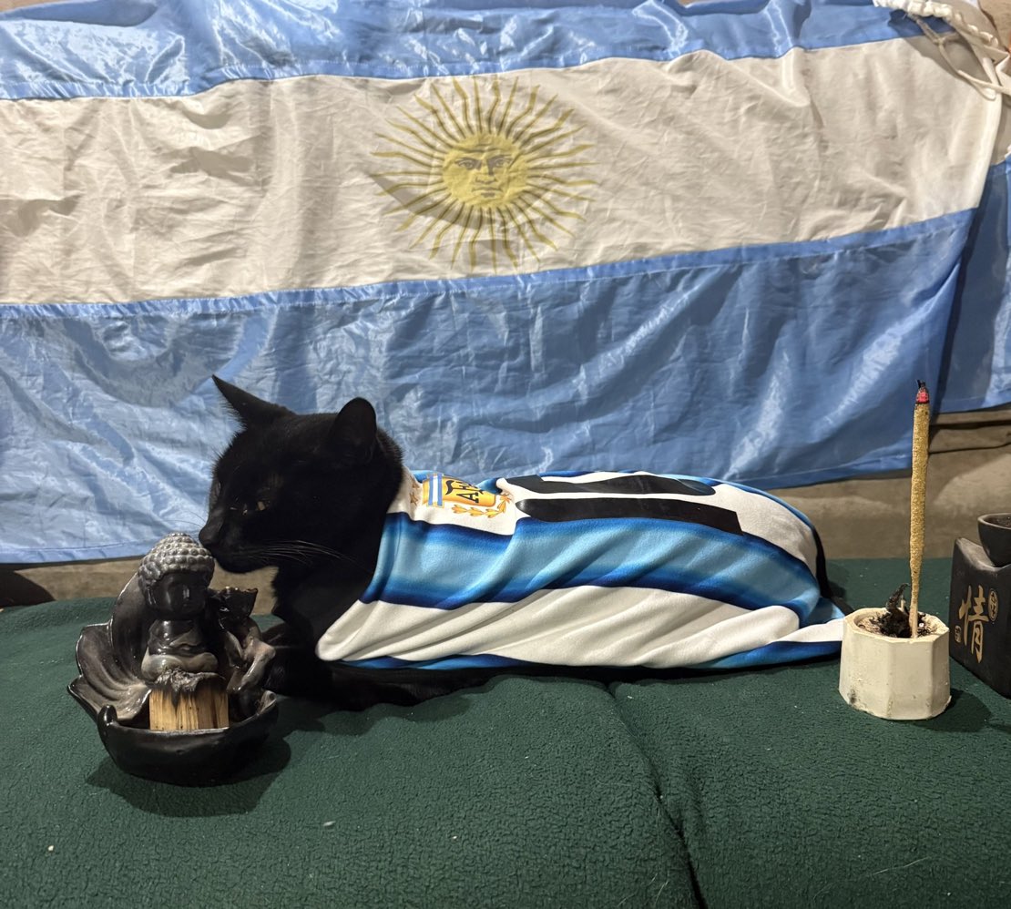 xiopaezok's tweet photo. URGENTE compartan a Lunux brujito de la suerte.

Hoy Argentina juega contra Egipto y no podemos dejar nada librado al azar.

Vamos Argentina. https://t.co/yaPHjRXF6w