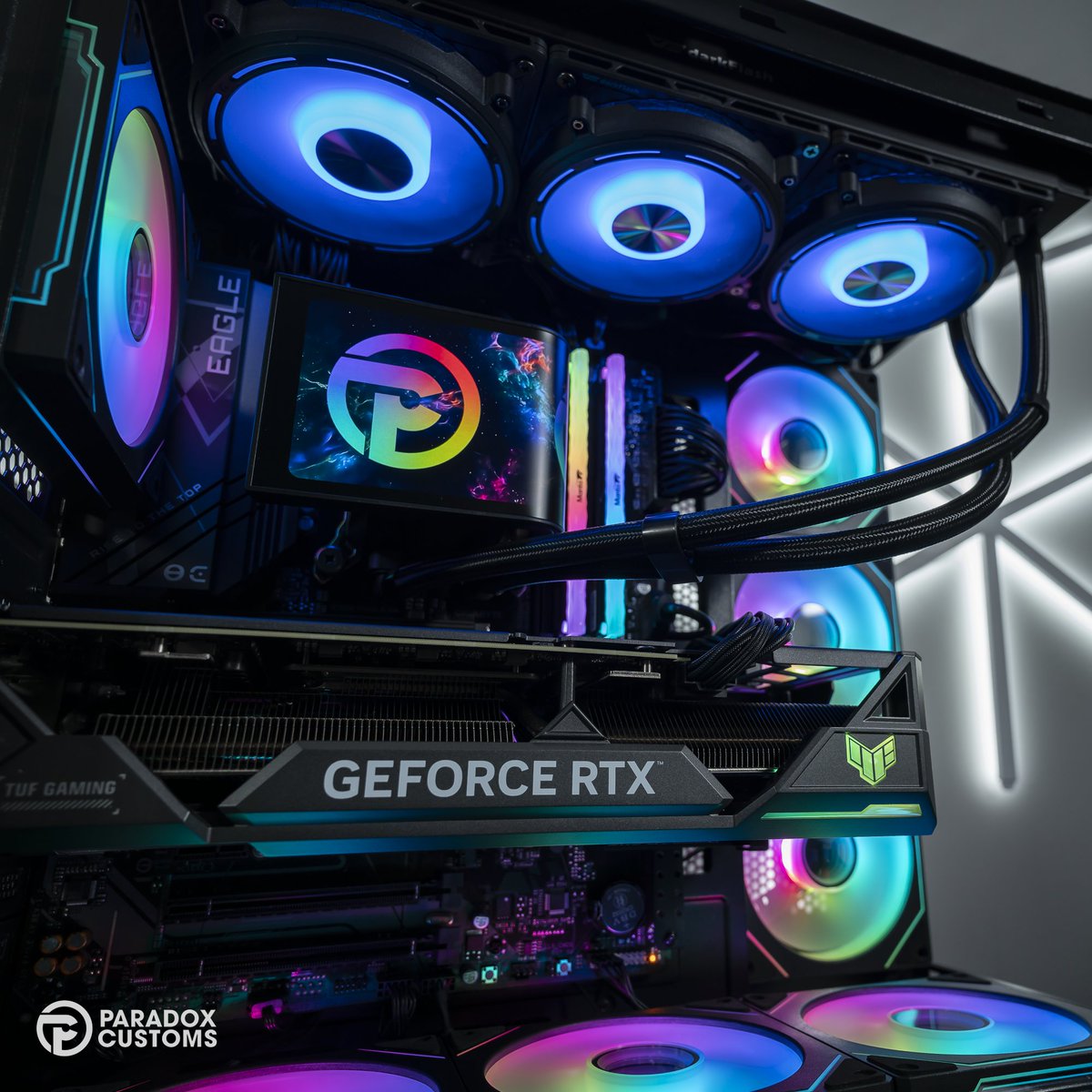 Paradox Customs tweet media