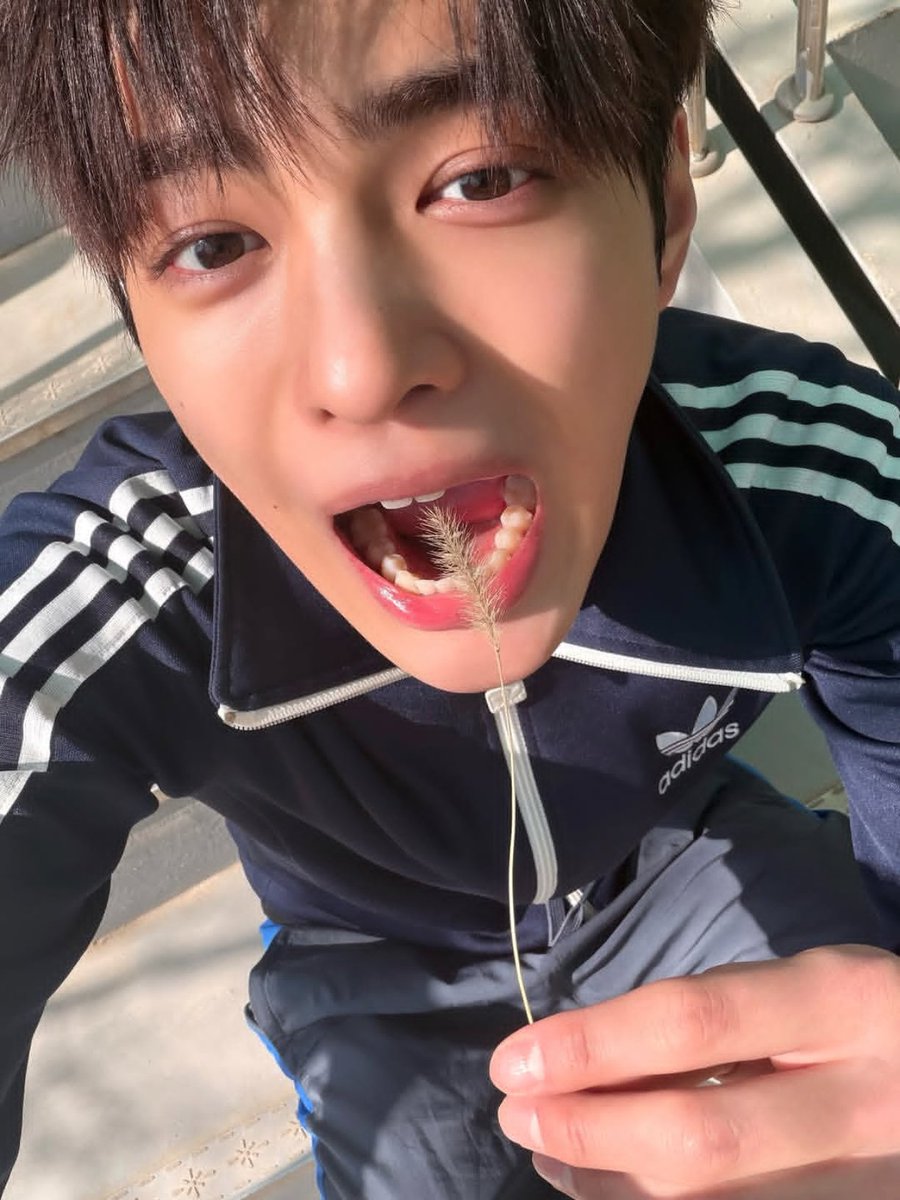 angelvov2's tweet photo. 두 사람이 커플 사진을 찍고 있나요?
#keontin https://t.co/Aw4r04w03e