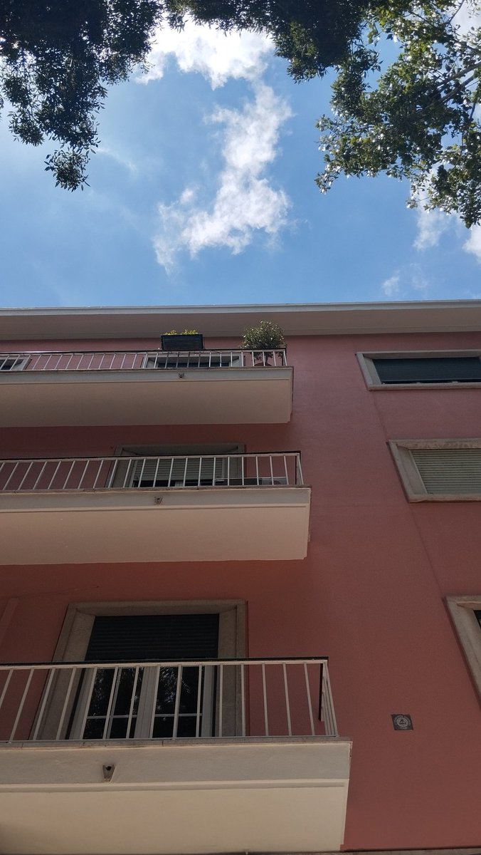 Bennett_SD_'s tweet photo. Em Alvalade, Lisboa 🔍 https://t.co/GpxdhMfhnW
