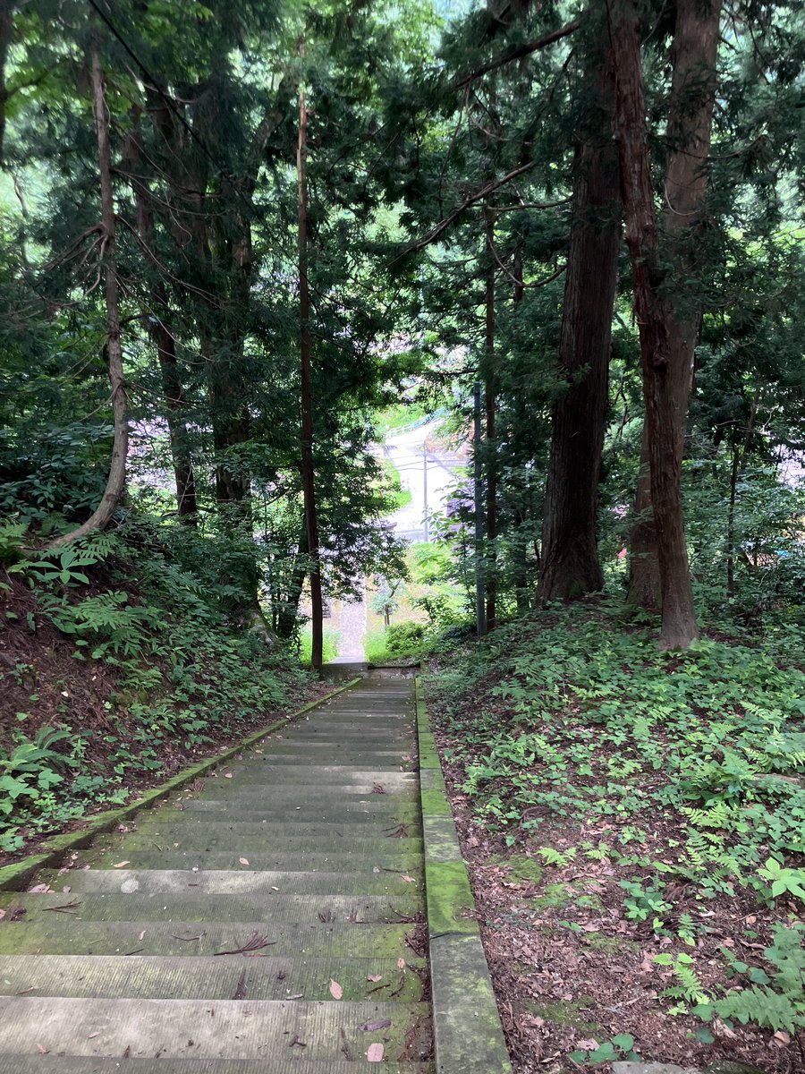 p_mutton's tweet photo. 南部神社の屋根の装飾がめちゃくちゃ派手で細かくて龍もいるしバクもいるし獅子もいるしうさぎもいるし日光思い出した
ってか龍の舌かなり長いけどこれは龍なんか。。？
狛犬の背中がまるっとしててモジャを思い出してキュンキュンした💗 https://t.co/MHp1UkjQKY