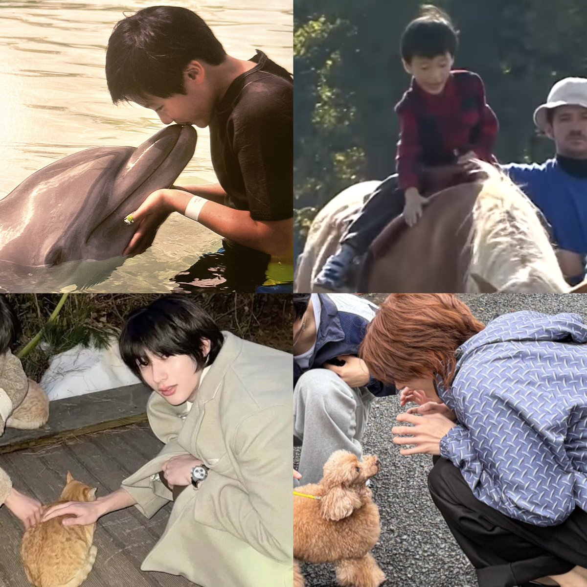 allforrann's tweet photo. ใจดี อ่อนโยน รักสัตว์ น่ารักจัง y-y https://t.co/ILi1l4MPUK
