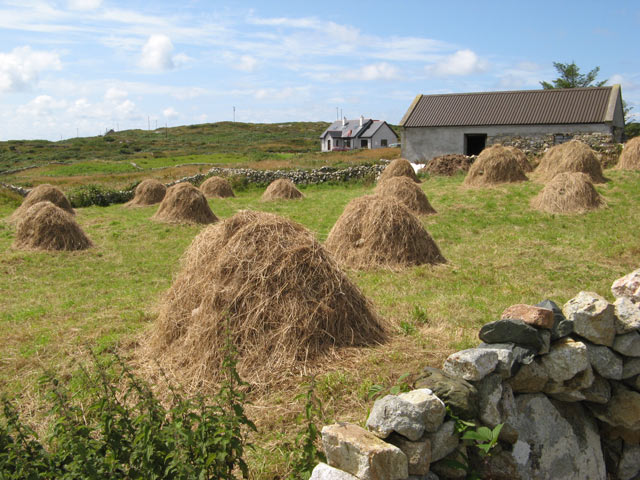 dineen20dineen's tweet photo. Memories from old Ireland the summer days on the farm https://t.co/K2wz96HGjc